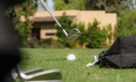 TaylorMade P-770 Irons Review | The Golf Guide