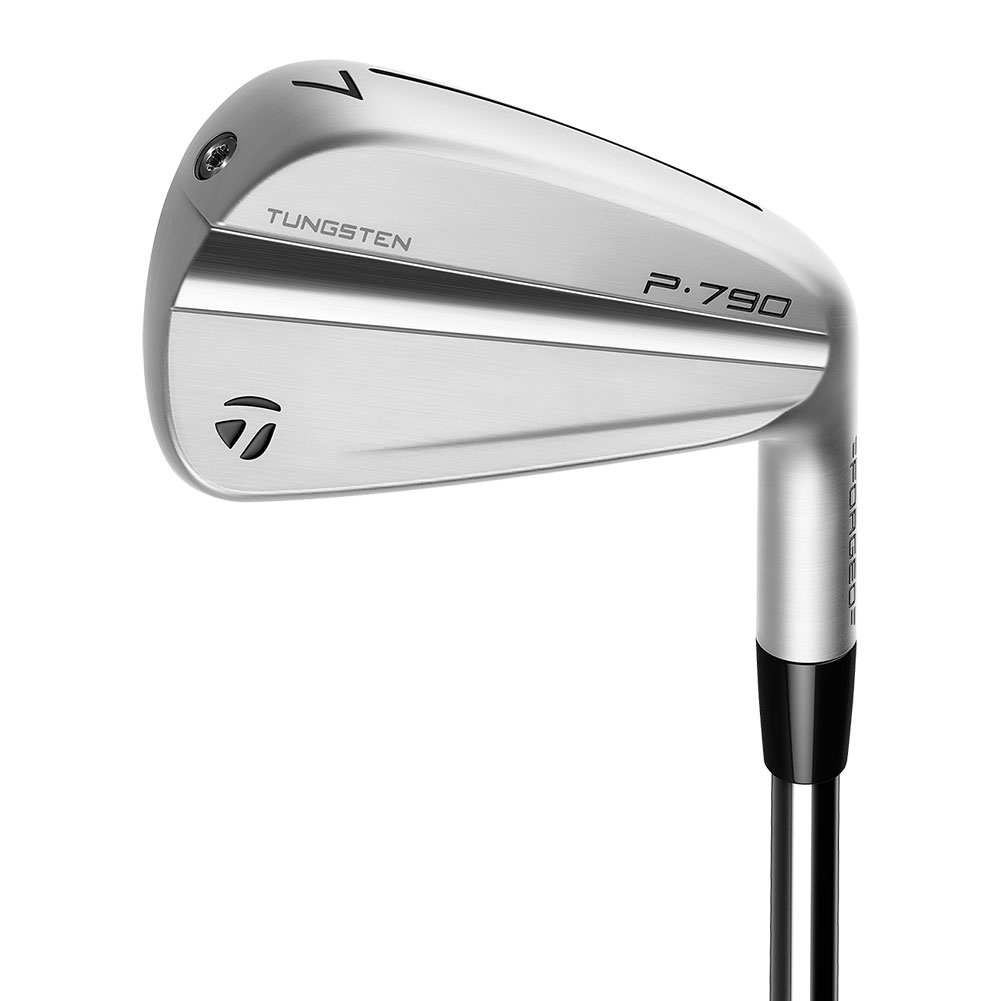 TaylorMade Men's 2023 P790 Irons #4-PW True Temper Dynamic Gold 105 X-Stiff Right