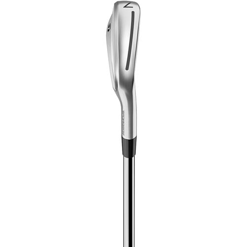 TaylorMade P770 Iron Set | TGW.com